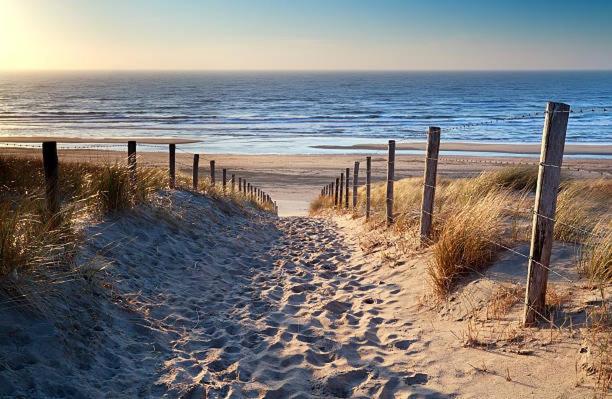 Casa La Vida Beach House & Free Bikes Zandvoort Bagian luar foto
